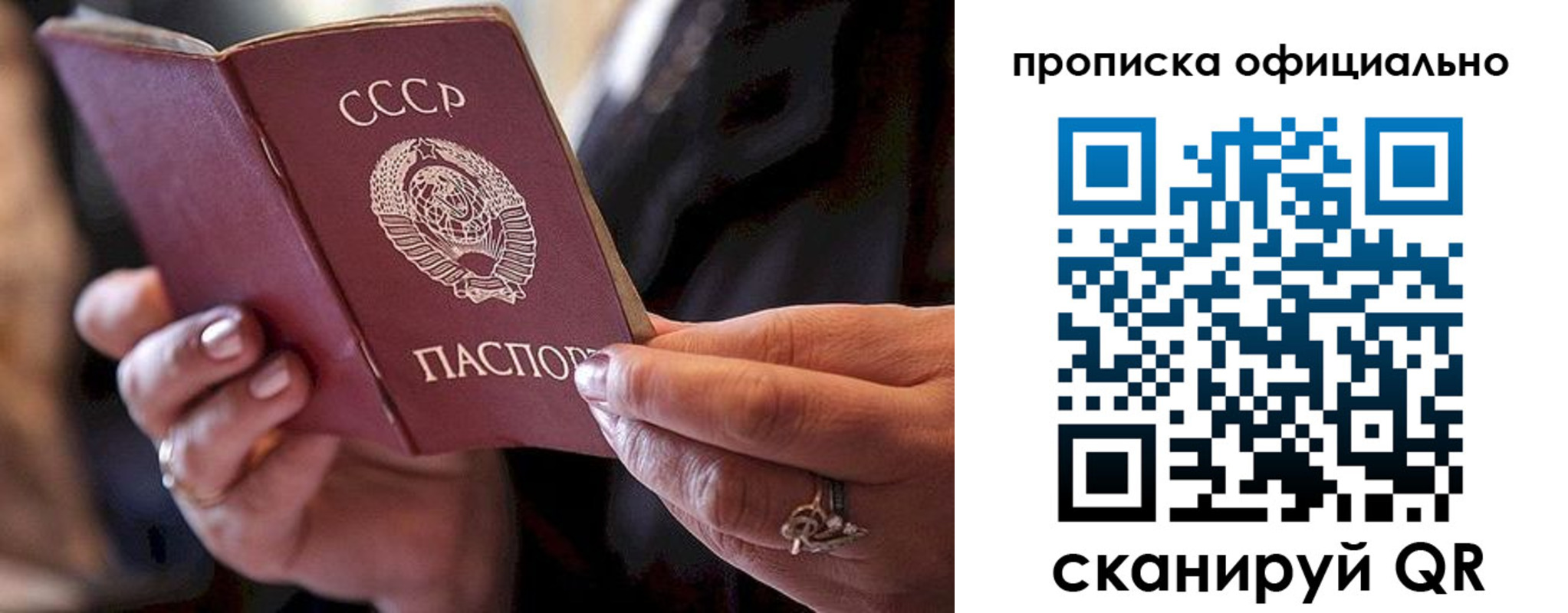 прописка в Дальнегорске